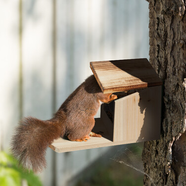Relaxdays Eichhörnchen Futterhaus aus Holz