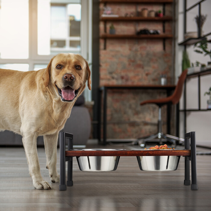 Relaxdays Futterstation für Hunde