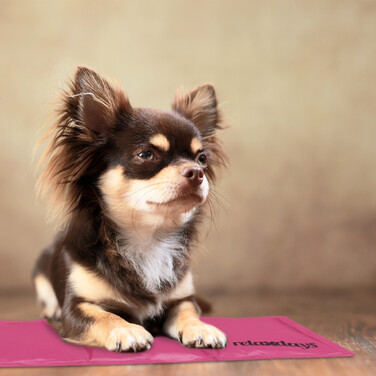 Relaxdays Pinke Kühlmatte für Hunde