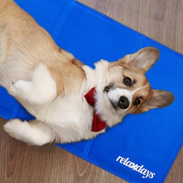 Relaxdays Kühlmatte Hund, selbstkühlend, abwischbar, robust, mit Gel, Kühldecke für Tiere, Kältedecke  blau, Polyester (50 x 90 cm)