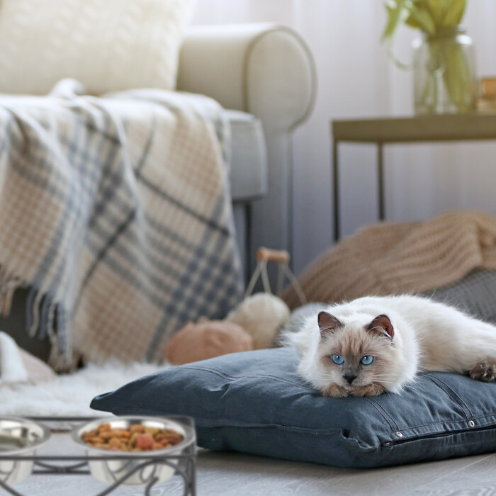 Relaxdays Hunde Napfset mit Halterung