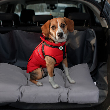 Relaxdays Hundebett grau