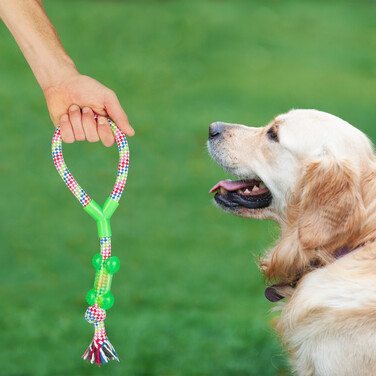 Relaxdays Hundespielzeug Set 10 teilig