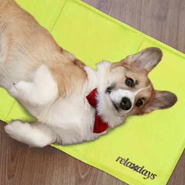 Relaxdays Grüne Kühlmatte für Hunde