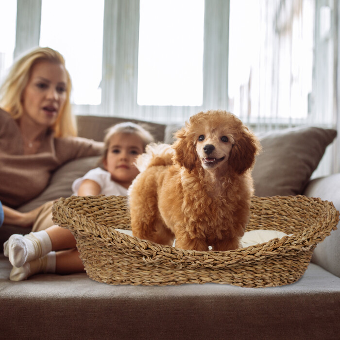 Relaxdays Tierbett für Hunde und Katzen