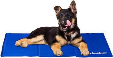 Relaxdays Kühlmatte Hund, selbstkühlend, abwischbar, robust, mit Gel, Kühldecke für Tiere, Kältedecke  blau, Polyester (50 x 90 cm)