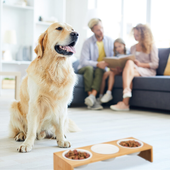 Relaxdays Futterstation für Hunde