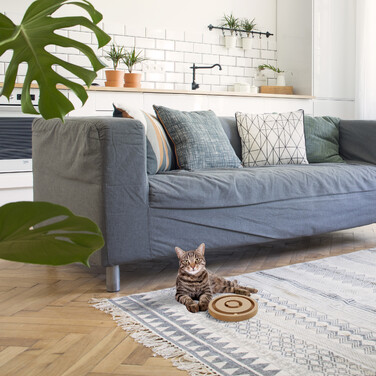 Relaxdays Intelligenzspielzeug für Hunde & Katzen