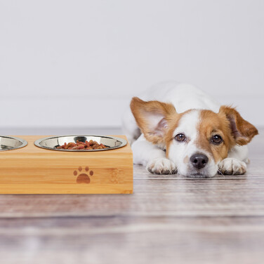Relaxdays Futterstation für Hunde