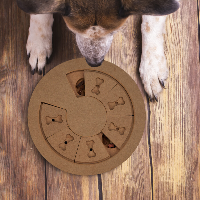 Relaxdays Intelligenzspielzeug für Hunde