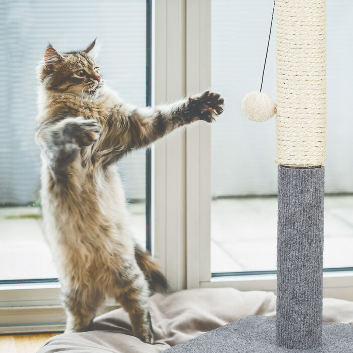 Relaxdays Kratzstamm für Katzen