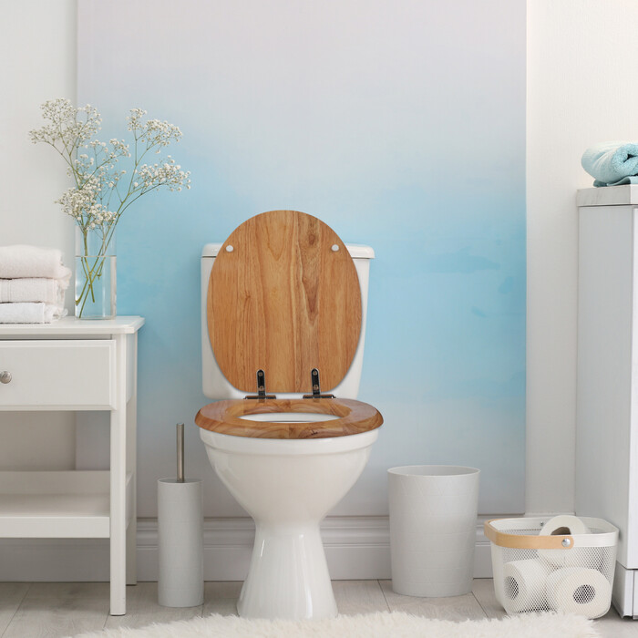 Relaxdays Toilettendeckel mit Absenkautomatik