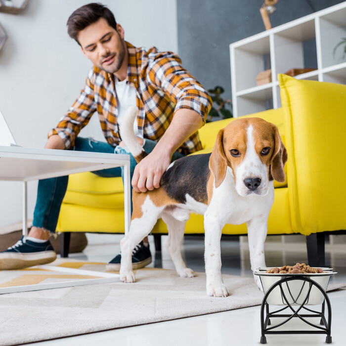 Relaxdays Futterstation für Hunde