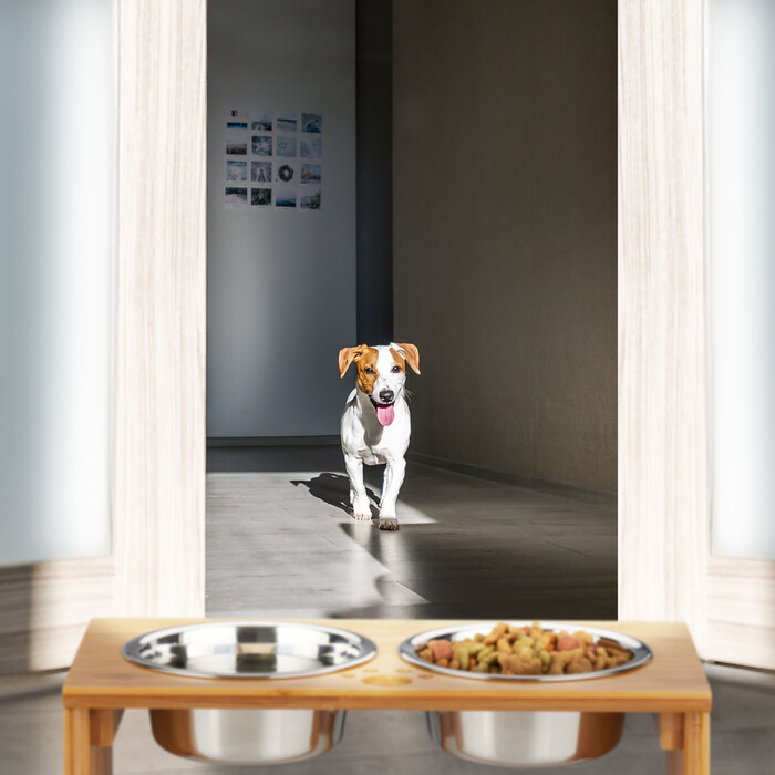 Relaxdays Große Futterbar für Hunde