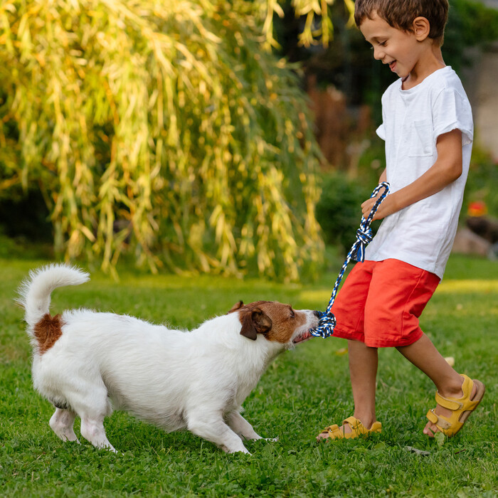 Relaxdays Hundespielzeug Set 4-teilig