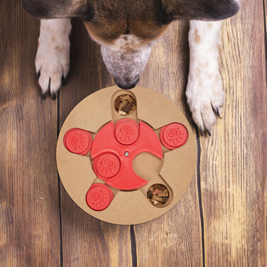 Relaxdays Intelligenzspielzeug für Hunde