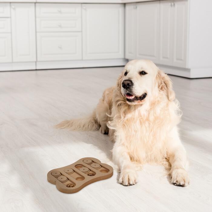 Relaxdays Intelligenzspielzeug für Hunde