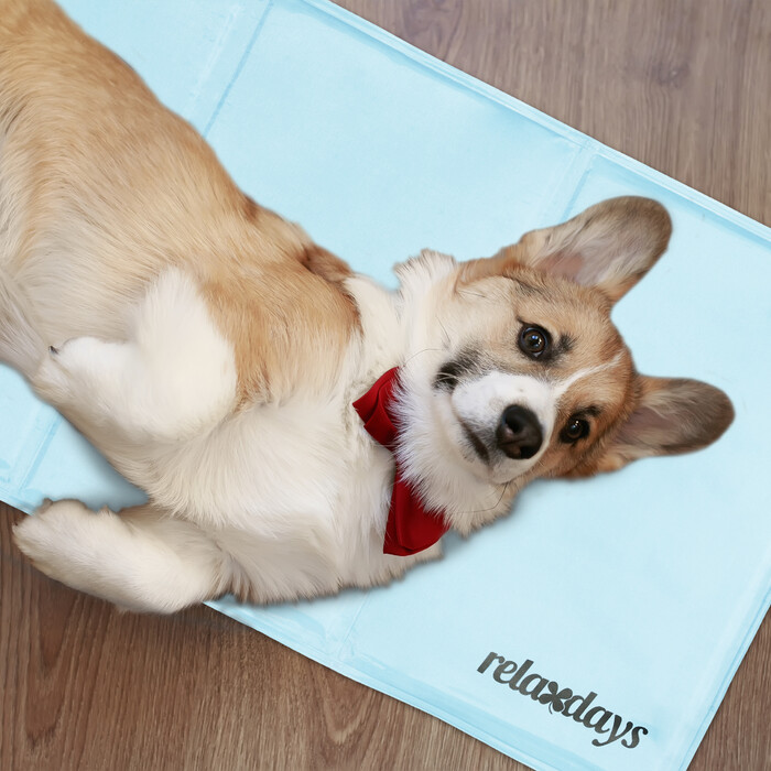 Relaxdays Hellblaue Kühlmatte für Hunde