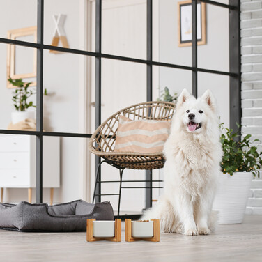 Relaxdays Hundenapf 2er Set