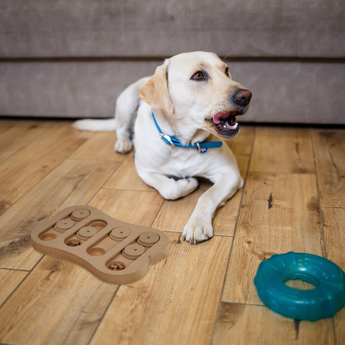 Relaxdays Intelligenzspielzeug für Hunde